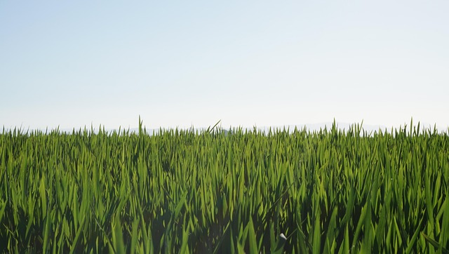 Free Farming Fields photo and picture