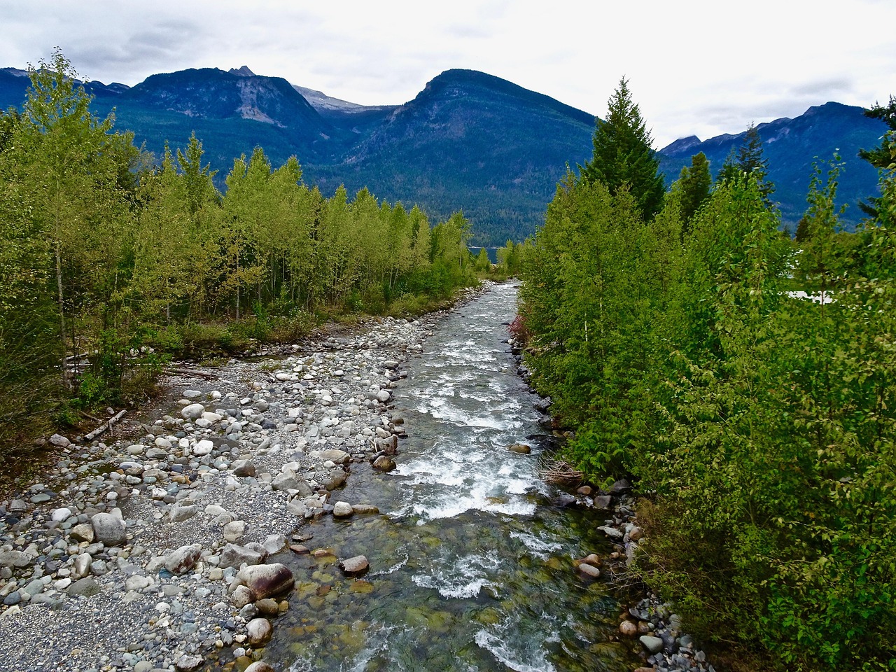 Arroyo Natural Paisaje - Foto gratis en Pixabay - Pixabay
