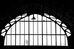 station, harlem, bird