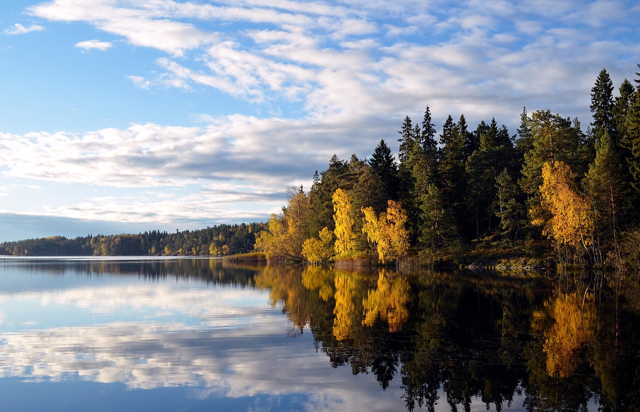 200 000 Kostnadsfria Bilder Med Svensk Sommar Och Sommar Pixabay