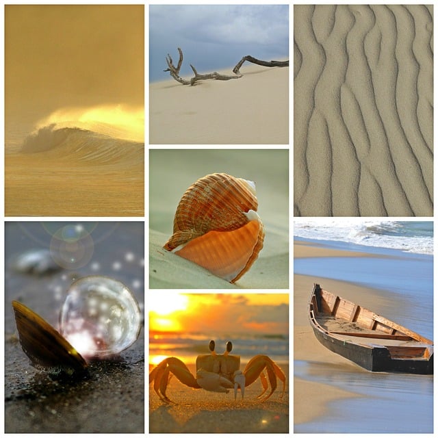 Strand, Meer, Collage, Urlaub, Süden
