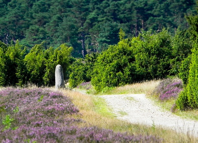 Free Pagan Hike photo and picture