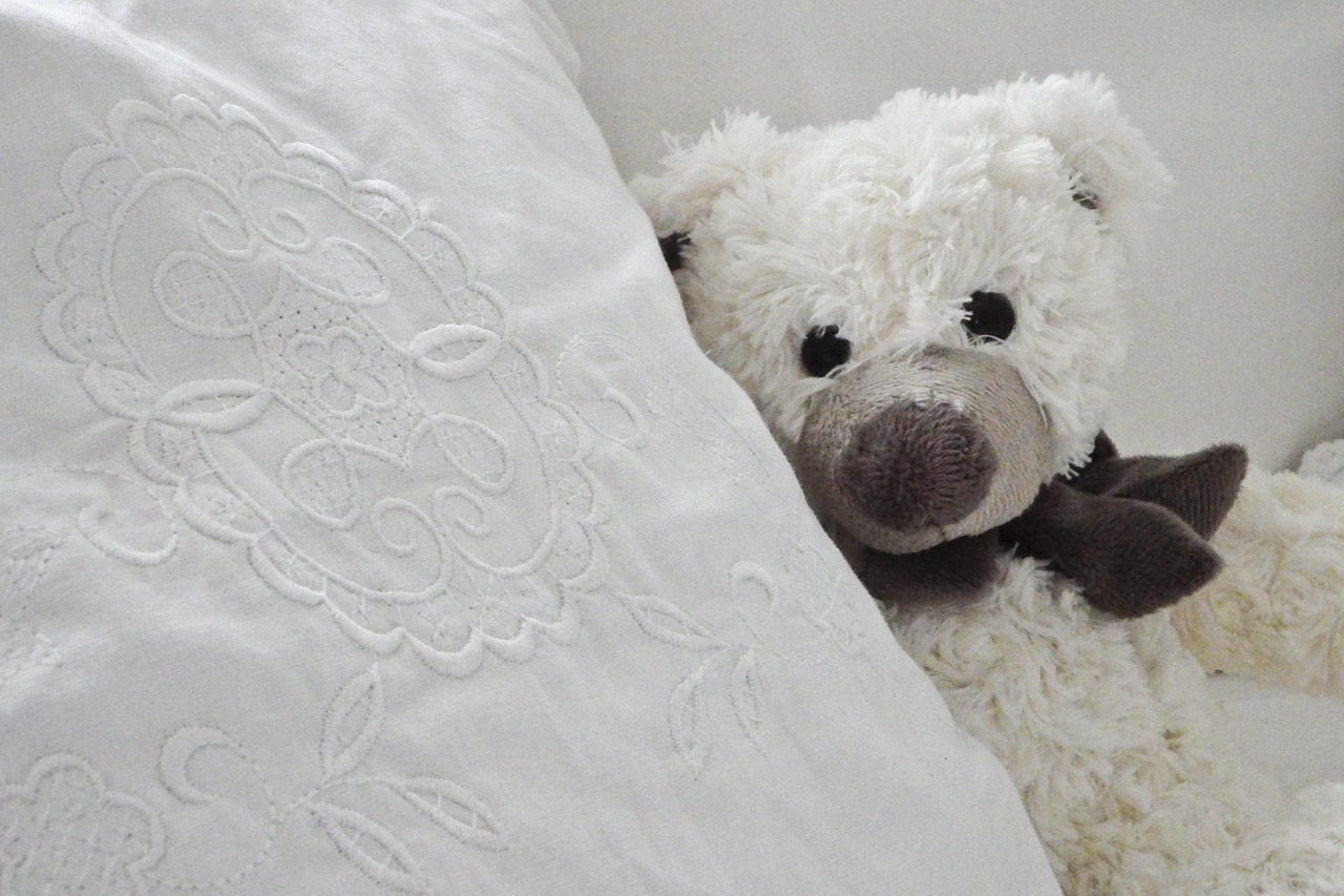 Teddy Toy Cuddly - Free photo on Pixabay