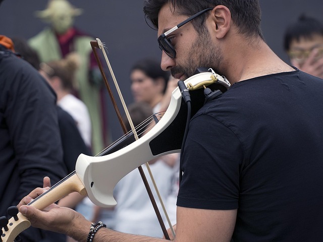 Vioară, Violonist, Muzician