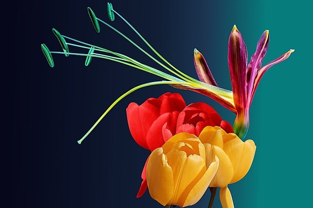Download free HD stock image of The Background Flowers Free the background flowers colorful illustration