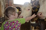 child, farm, children