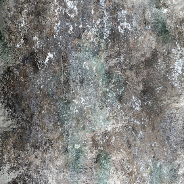 Free Background Concrete photo and picture