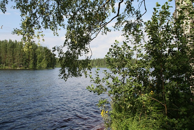Free Finland Haavisto photo and picture