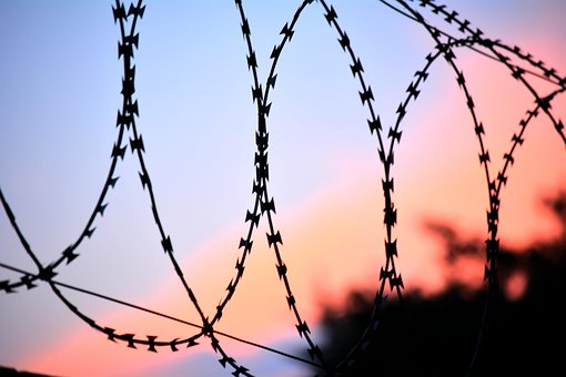 steel-wire-1726550__340.jpg