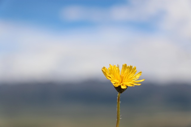 Free Tibet Tanggula Mountain photo and picture