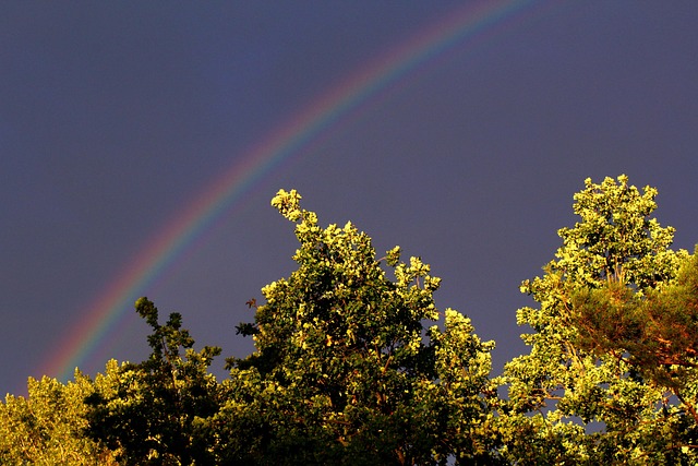 Regnbue, Himmel, Humør, Natur, At Farve