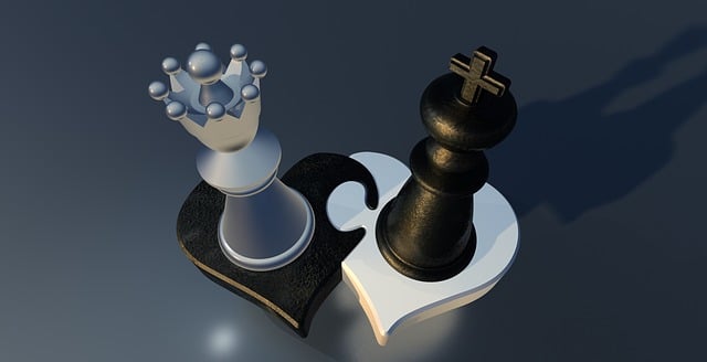 Free chess characters lady illustration