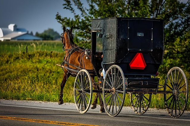 Amish Buggy - Free photo on Pixabay - Pixabay