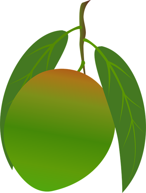 Download free HD stock image of Mango Fruit Free mango fruit food illustration