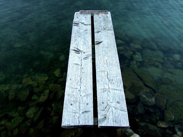 Free Web Wood photo and picture