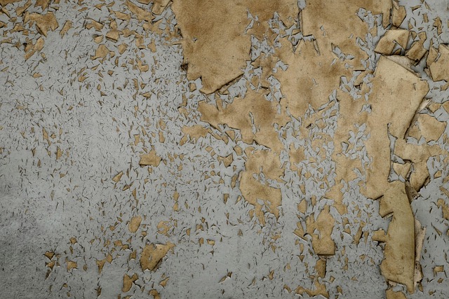 Free Texture Wall photo and picture
