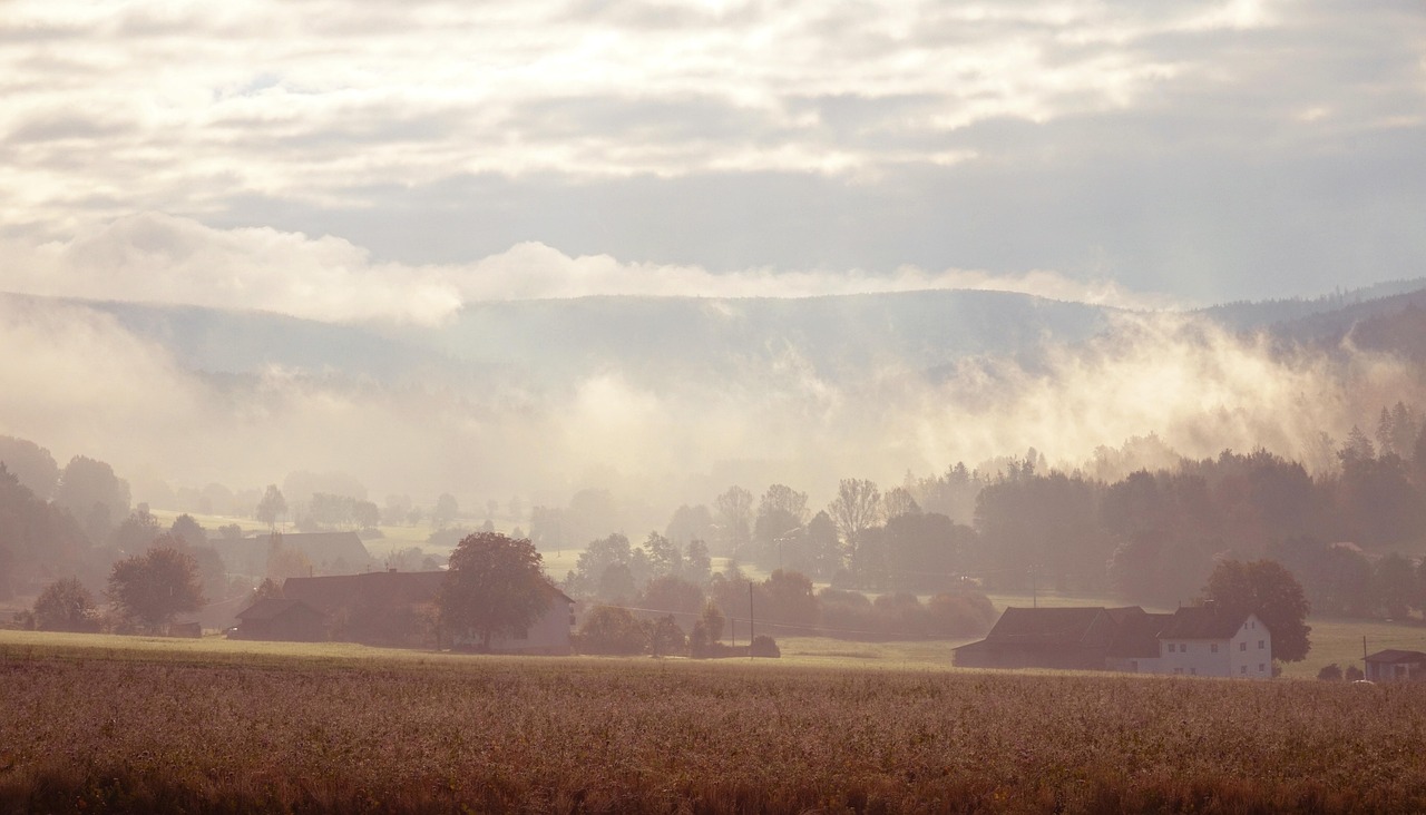 Fog - free online jigsaw puzzle photo