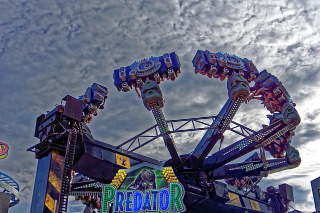 Fair Folk Festival Rides - Free photo on Pixabay - Pixabay