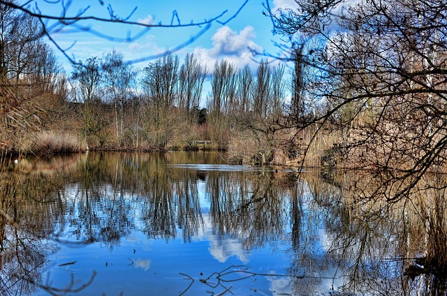 Basel, Grün 80 Park, Reflexionen, Wasser