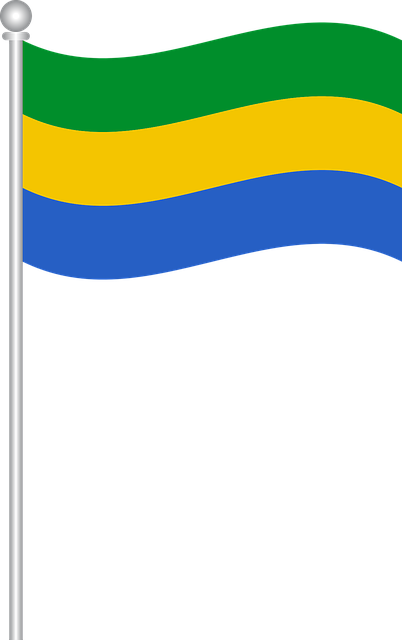 Free flag of gabon flag gabon illustration