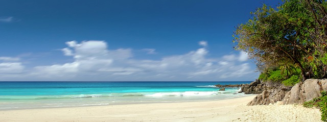 seychelles, beach, panorama, sea, ocean, seascape, shore, seashore, coast, coastline, shoreline, nature, holiday, water, paradise, sand, sandy beach, blue water, blue sea, blue ocean