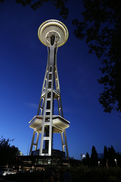Free Space Needle Seattle photo and picture