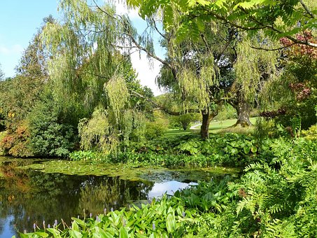イングリッシュ ガーデン, 水, 公園, 英語, 自然, 植物, 緑, 木, 湖