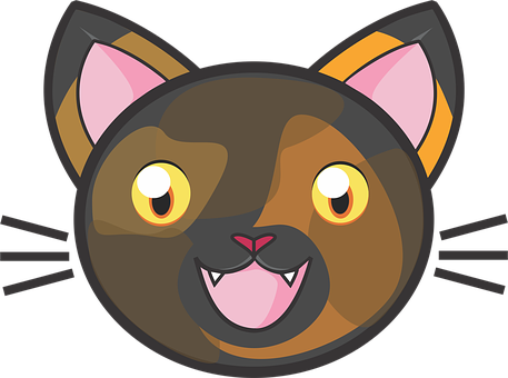 Tortie Kat, Calico, Kitty, Schattig