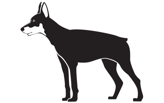Preto, Cão, Ilustração