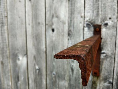 Free Tree Metal photo and picture