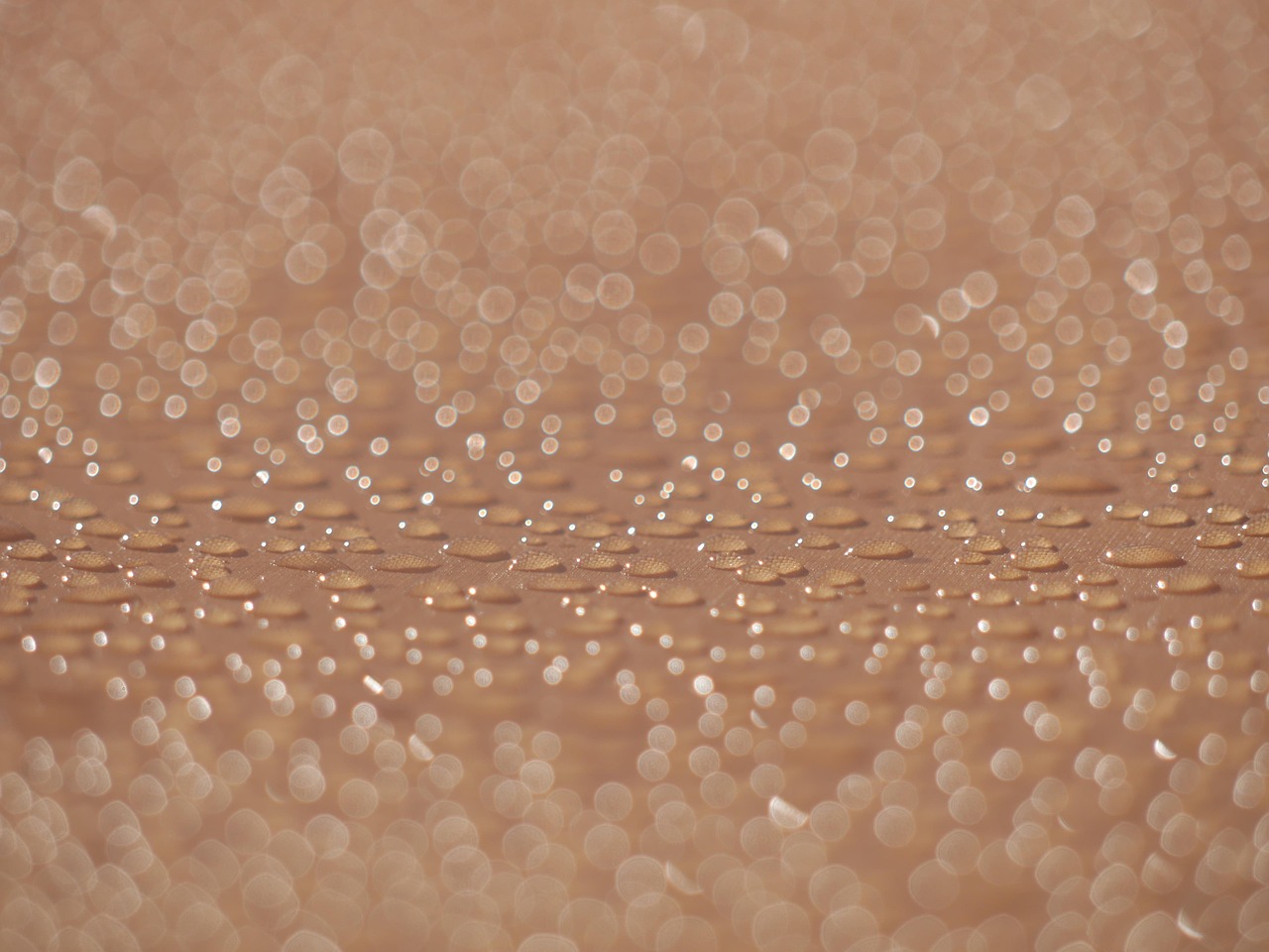 200+ Free Condensation & Nature Images - Pixabay