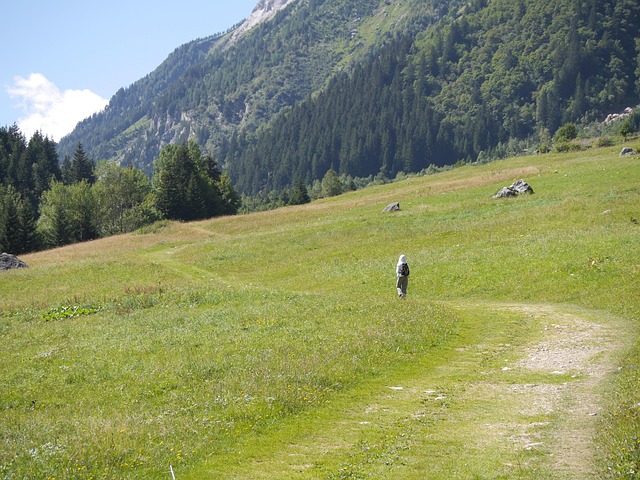 Free Path Meadow photo and picture