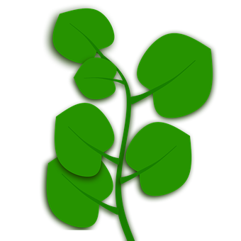 Free Leaf Foliage illustration and picture