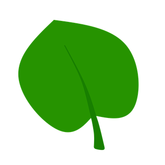 Free Leaf Foliage illustration and picture