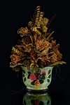 flowers, vase, flower