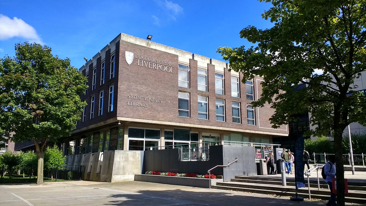 Bit Liverpool école Neuf - Embout D'école Liverpool En Très Bon état