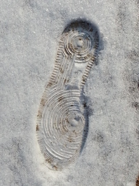 Free Footprint Snow photo and picture
