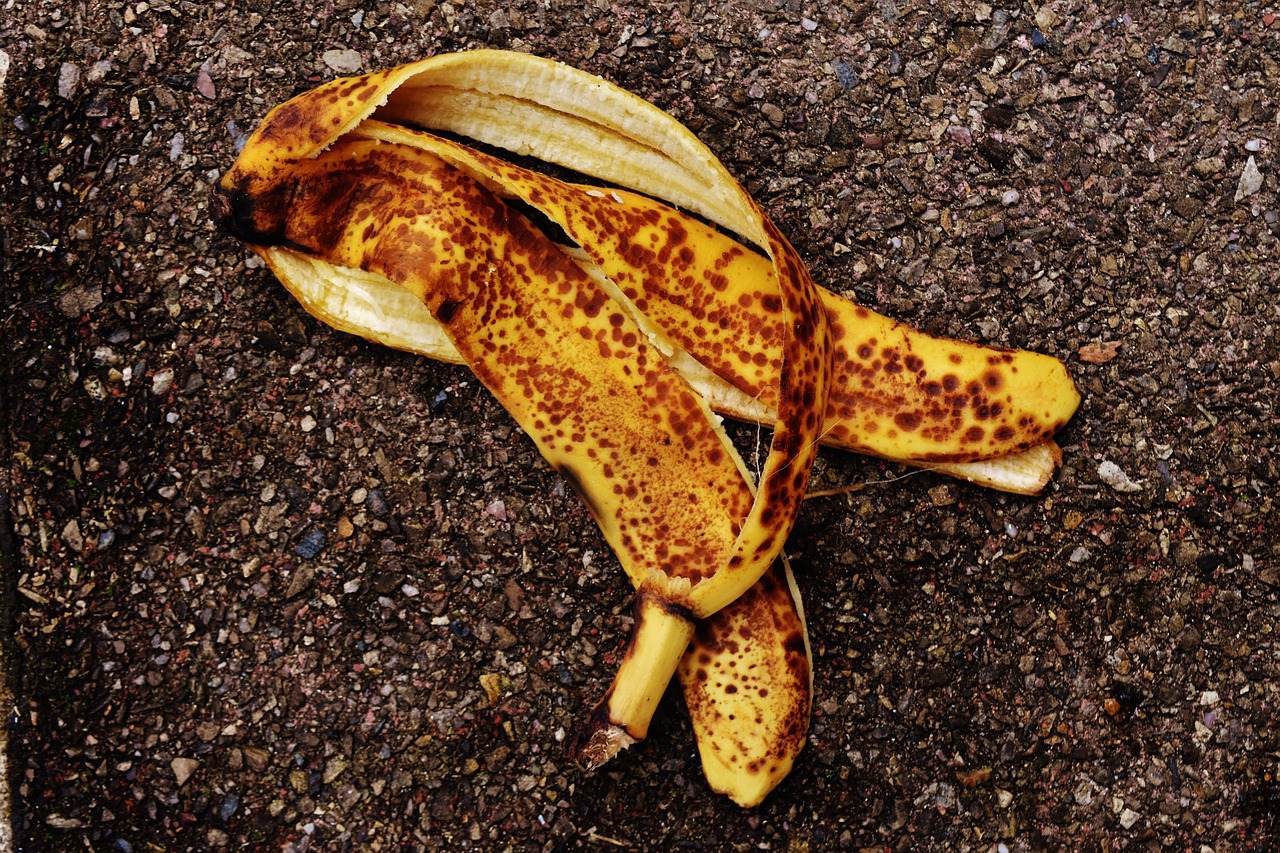 4,000+ Free Banana Peel & Banana Images Pixabay