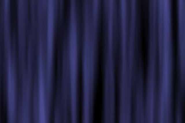 Free curtains drapes interior illustration