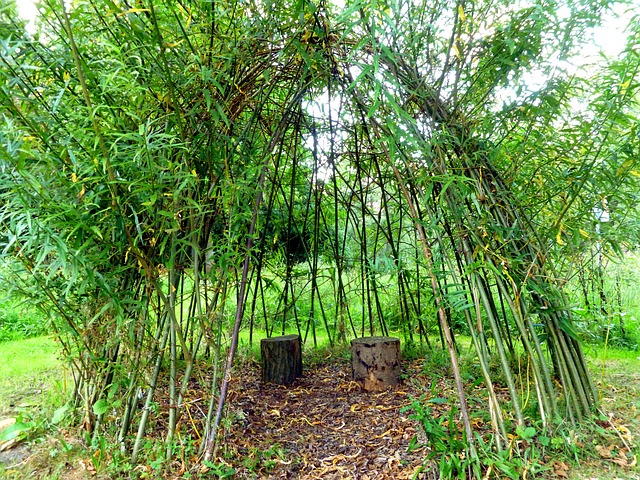 favorite place, braided, nature, time, branches, campground, green, seat, relaxation, outdoors, built, close to nature, seating, break, tree stumps, debate, meditation, leaves, natural tent, cookie, quiet, romantic, for two, relax, to sit, inviting