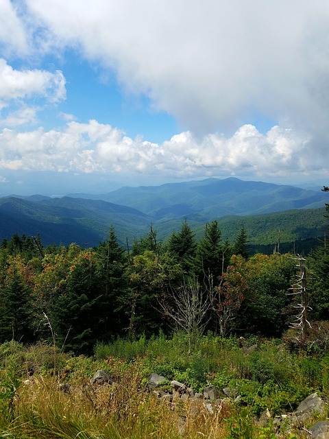 Free Mountain Smokey photo and picture