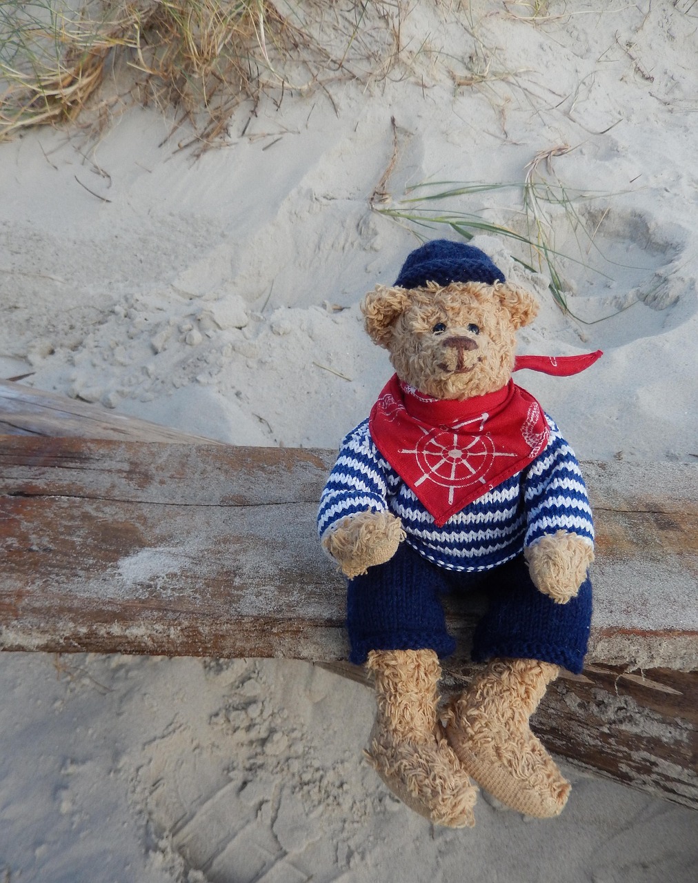 Teddy Bear Toy Cuddly - Free photo on Pixabay - Pixabay