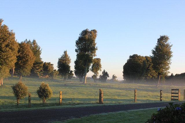 Land, Koppel, Bäume, Ländlich, Bauernhof