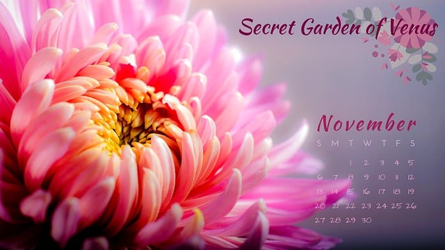 Free secret garden of venus calendar november illustration