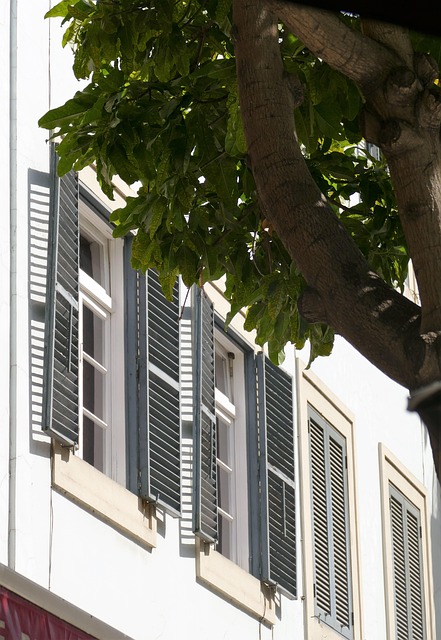 Free Window Sun photo and picture