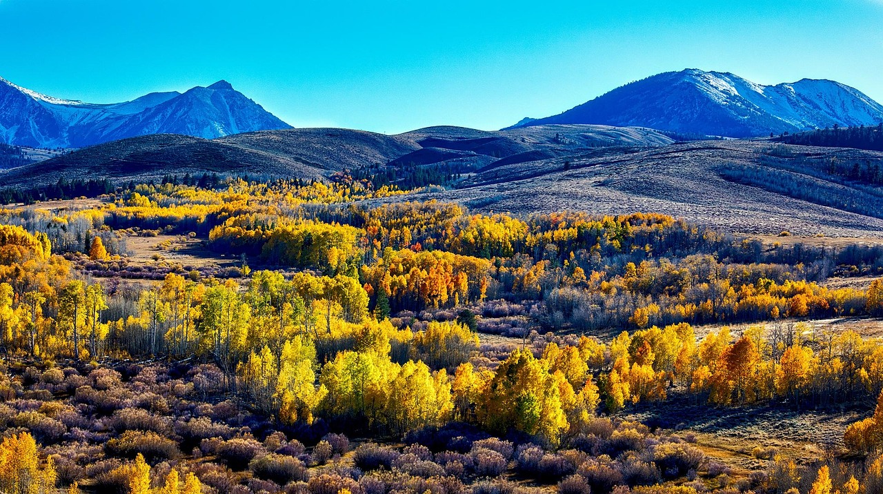 Yosemite - free online jigsaw puzzle photo