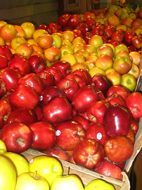 Free Apple Harvest photo and picture