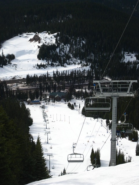 Free Snow Skiing photo and picture