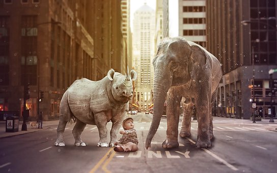 Free City New York illustration and picture
