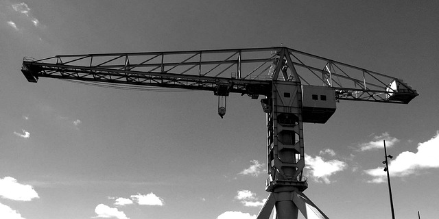 Free Nantes Crane photo and picture